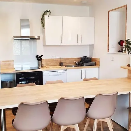 Apartament De La Vieille Tour 63790