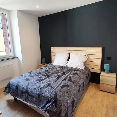 Apartament De La Vieille Tour 63790 *